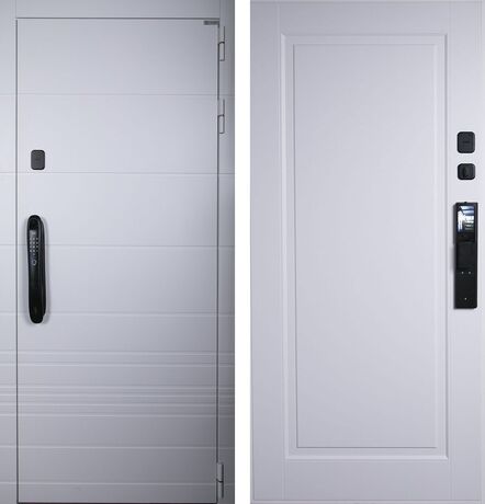 Входная дверь АСД Горизонт (биометрический замок Smart lock DZ 888)