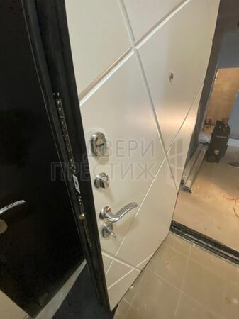 Дверь Termo-door Лучи бетон Лучи в цвете белый - фото внутри 3