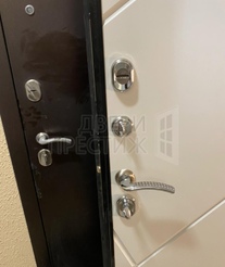 Дверь Termo-door Лучи бетон Лучи в цвете белый - фото внутри 4