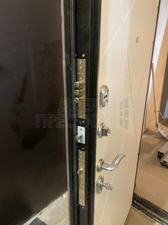 Дверь Termo-door Лучи бетон Лучи в цвете белый - фото внутри 5