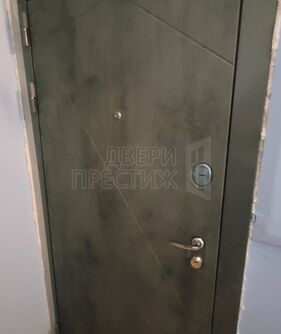 Входная дверь LOFT 24 - Бетон светлый - фото снаружи.jpg